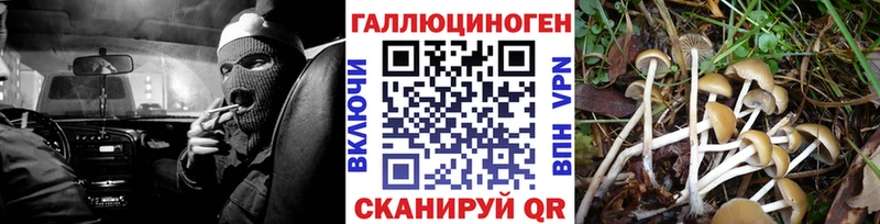 Галлюциногенные грибы Cubensis  Прокопьевск 